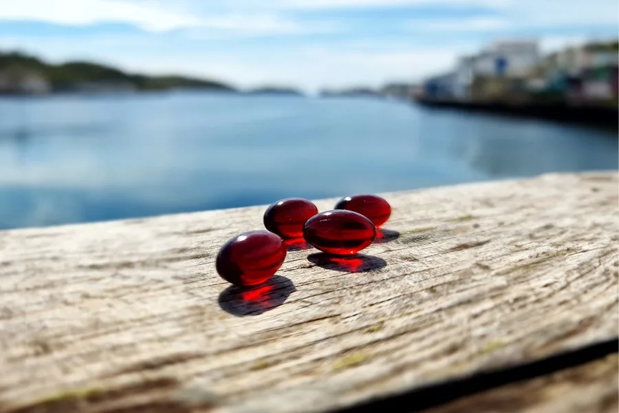 Capsules with Zooca® Calanus Oil®