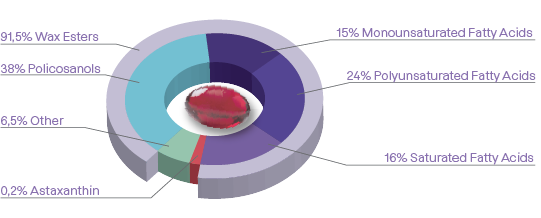 2025 CalanusOil 3D ENG