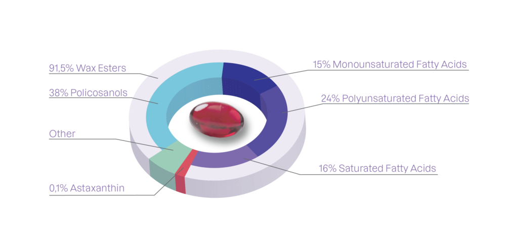 2026 CalanusOil 3D donut ENG
